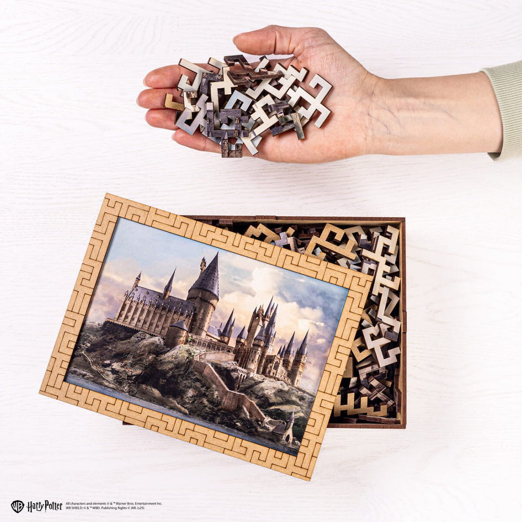 Wooden Maze Puzzle Harry Potter™ Hogwarts Castle