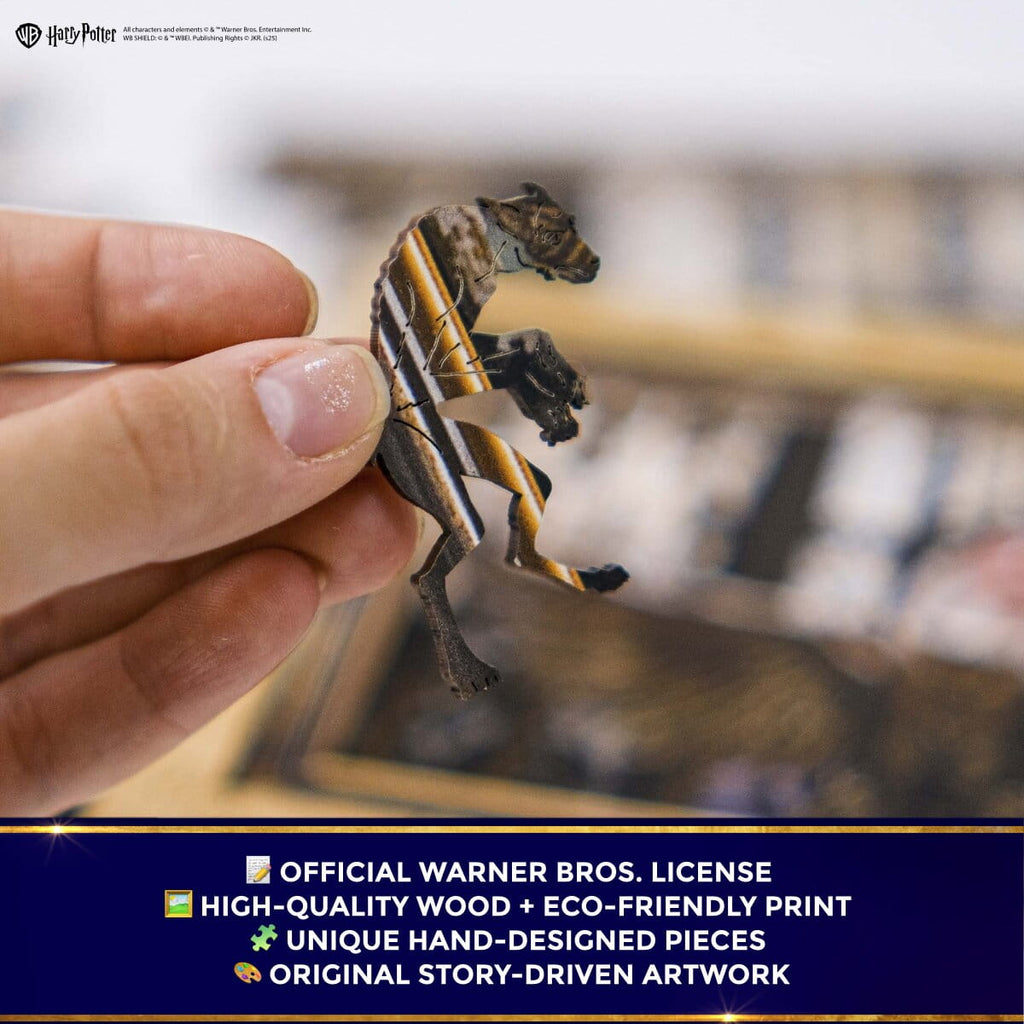 Wooden Puzzle Harry Potter™