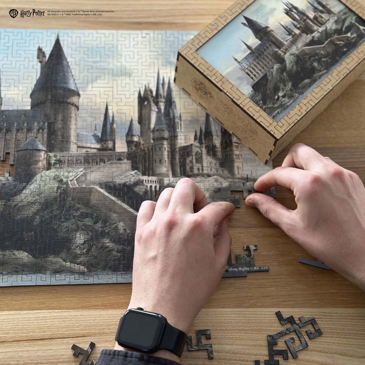 Wooden Maze Puzzle Harry Potter™ Hogwarts Castle
